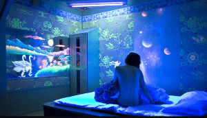 Inside Japanese Love Hotels Dreamy